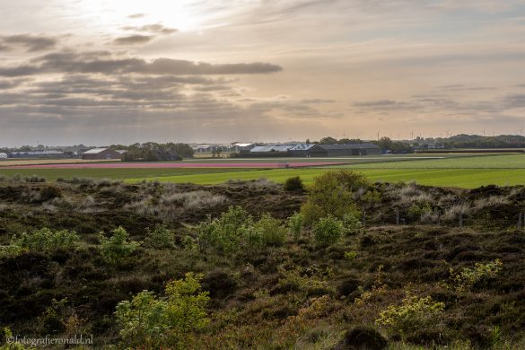 Zwanenwater Polder