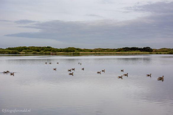 Zwanenwater Tweede Water