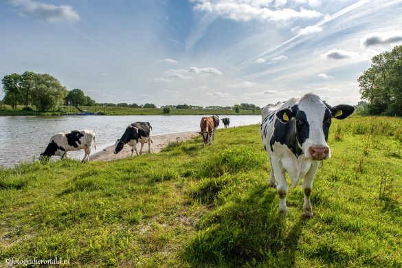 Laarzenpad Zalk Laarzenpad Zalk IJssel