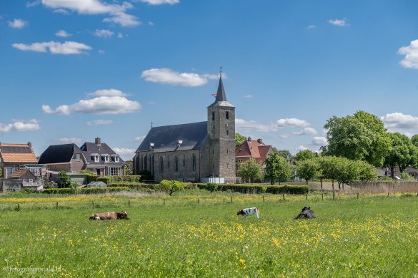 Bloemenweide_Scherenwelle_met_zicht_op_de_-Lambertuskerk