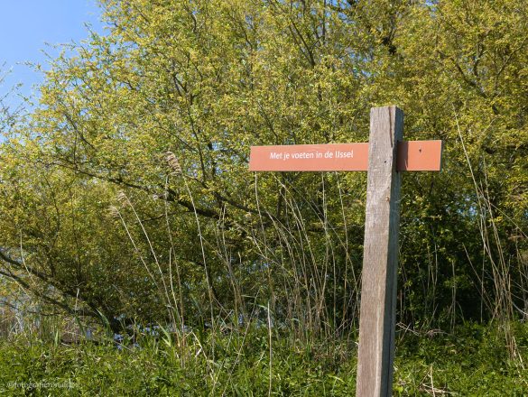 Scherenwelle_met-je-voeten-in-de-IJssel