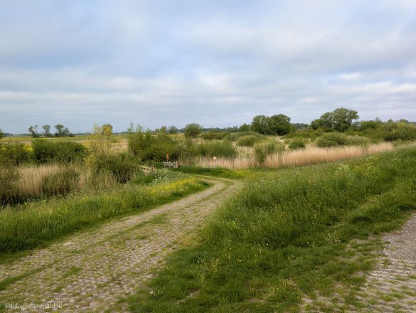ingang-Scherenwelle-IJsselvallei