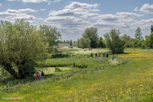 uitzicht_over_de_Koppelerwaard