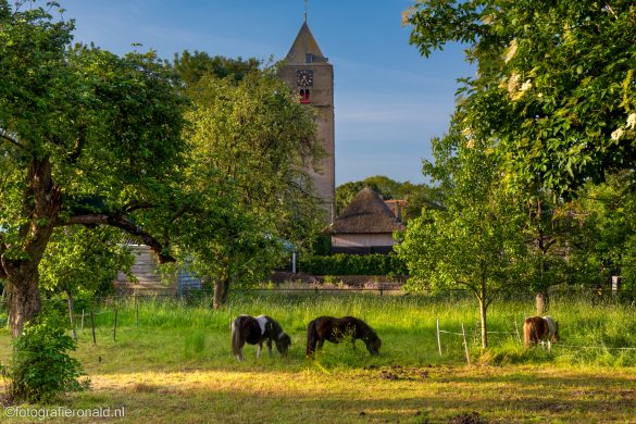 Laarzenpad Zalk doorkijkje Nicolaaskerk