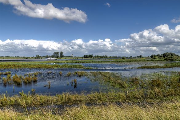Laarzenpad-Zalk-uiterwaarden
