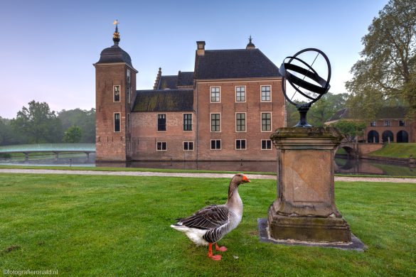 Ans de Kasteelgans